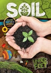 Soil цена и информация | Книги для подростков и молодежи | kaup24.ee