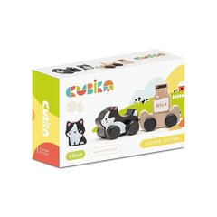 Puidust rong Kassipojad 18+ kuud. цена и информация | Игрушки для мальчиков | kaup24.ee