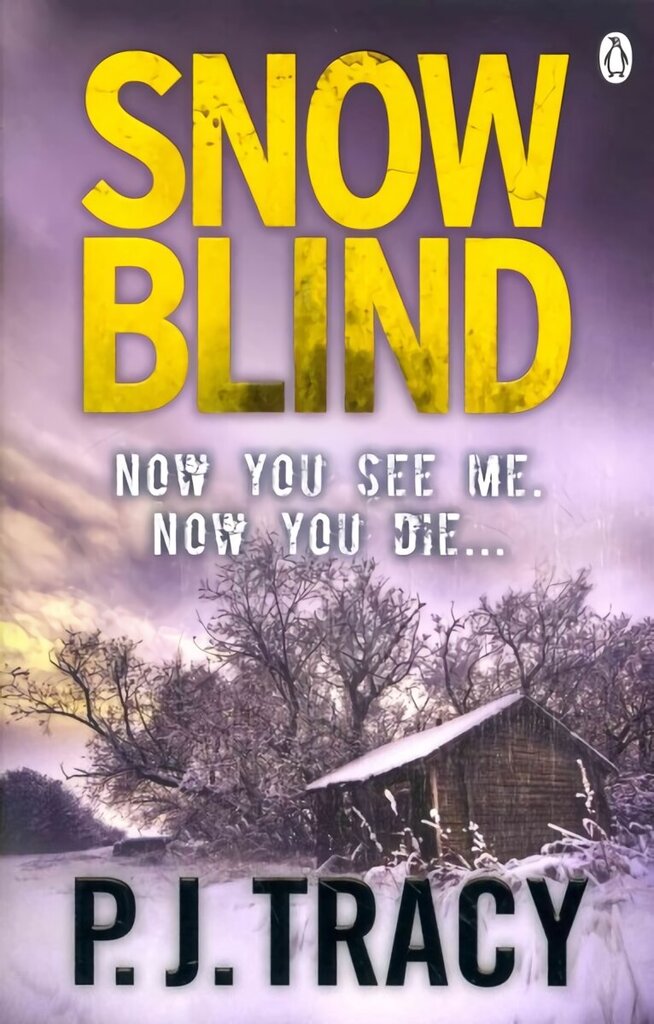 Snow Blind: Twin Cities Book 4 цена и информация | Fantaasia, müstika | kaup24.ee