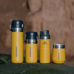 Kruus The Everyday Tumbler, 0,3 L, safrankollast värvi hind ja info | Stanley Kodutarbed | kaup24.ee