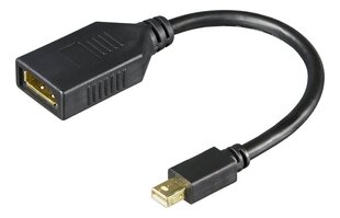 Deltaco mini DisplayPort adapter 4K UHD 60Hz, 0.2m, must / MDP-DP1-K / 00110028 цена и информация | Адаптер Aten Video Splitter 2 port 450MHz | kaup24.ee