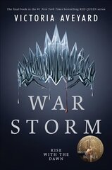 War Storm цена и информация | Книги для подростков и молодежи | kaup24.ee