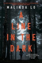 Line in the Dark цена и информация | Книги для подростков и молодежи | kaup24.ee