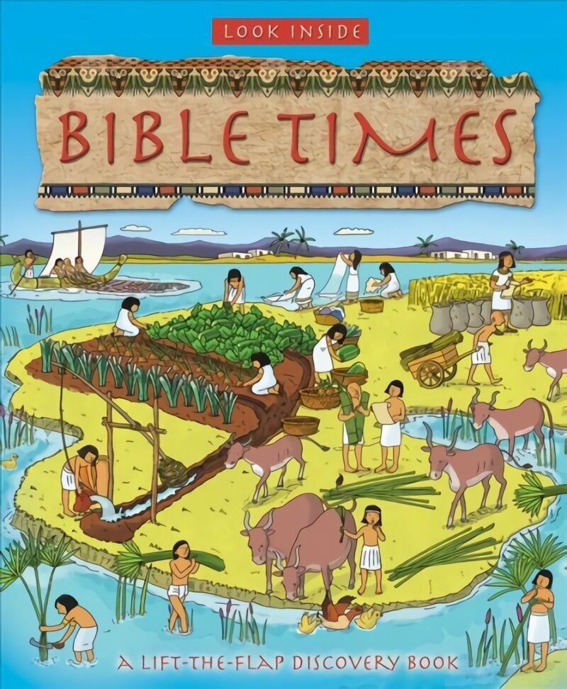 Look Inside Bible Times New edition цена и информация | Noortekirjandus | kaup24.ee