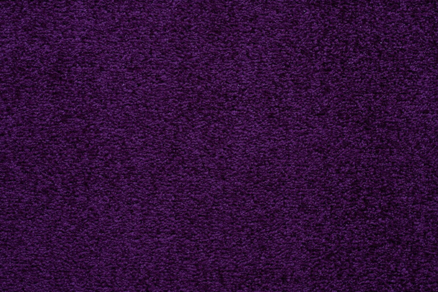 Vaip Eton violetne цена и информация | Vaibad | kaup24.ee