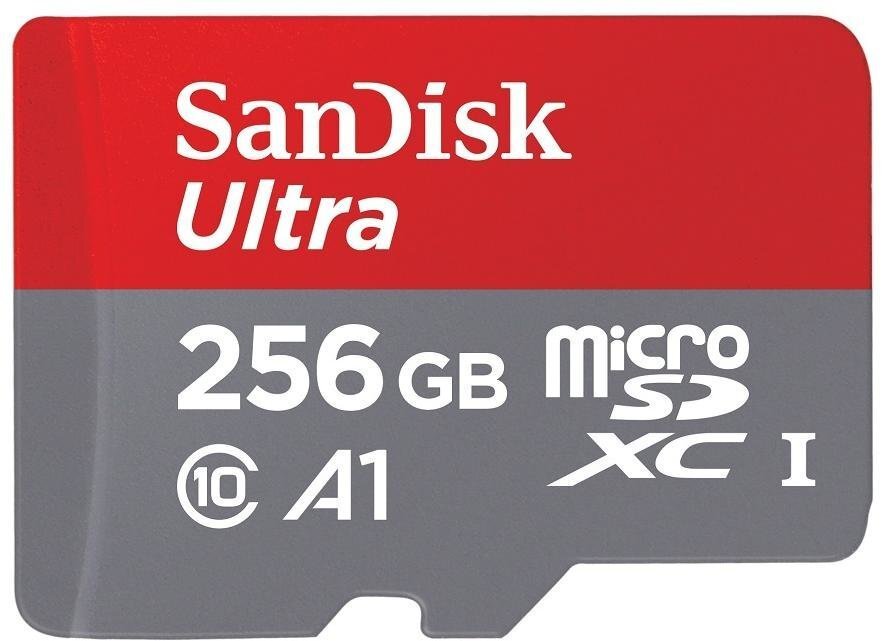 MEMORY MICRO SDXC 256GB UHS-I/W/A SDSQUAR-256G-GN6MA SANDISK цена и информация | Mobiiltelefonide mälukaardid | kaup24.ee