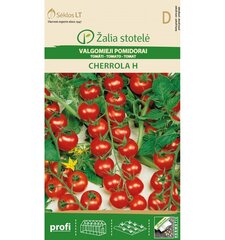 Tomat Cherrola H hind ja info | Köögivilja-, marjaseemned | kaup24.ee