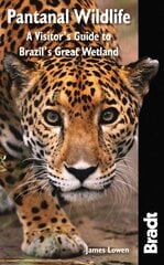 Pantanal Wildlife: A Visitor's Guide to Brazil's Great Wetland цена и информация | Путеводители, путешествия | kaup24.ee