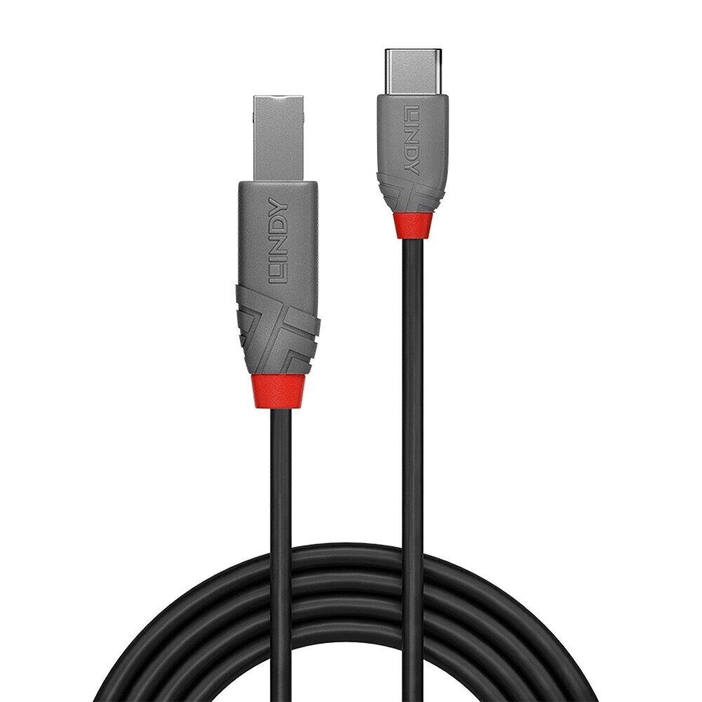 CABLE USB2 C-B 0.5M/ANTHRA 36940 LINDY hind ja info | Mobiiltelefonide kaablid | kaup24.ee