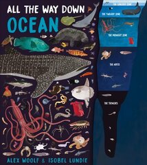 All The Way Down: Ocean Illustrated edition цена и информация | Книги для подростков и молодежи | kaup24.ee