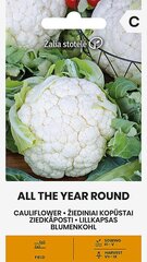 Lillkapsas All The Year Round цена и информация | Семена овощей, ягод | kaup24.ee