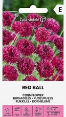 Василёк махровый  Red Ball цена и информация | Семена цветов | kaup24.ee