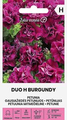 Mitmeõieline Petuunia Duo H Burgundy hind ja info | Lilleseemned | kaup24.ee