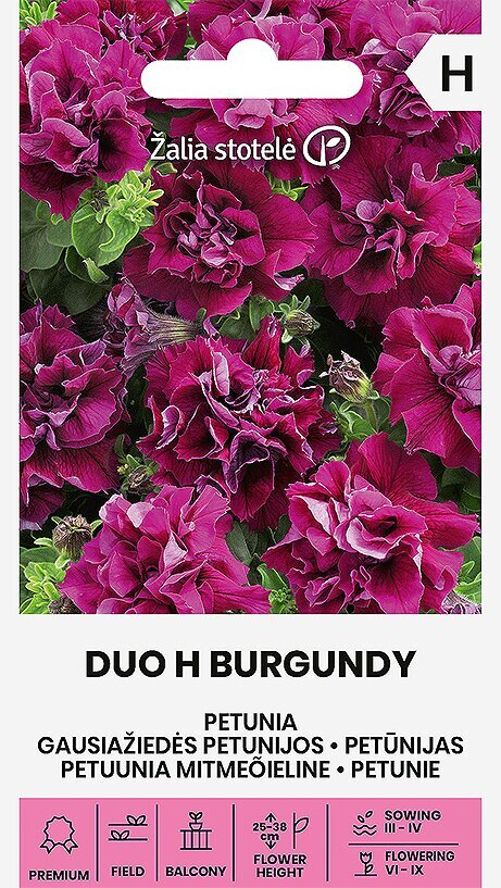 Mitmeõieline Petuunia Duo H Burgundy цена и информация | Lilleseemned | kaup24.ee