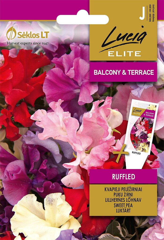 Lillhernes Lõhnav Ruffled hind ja info | Lilleseemned | kaup24.ee