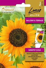 Dekoratiivne Päevalill Sunspot Gold цена и информация | Семена цветов | kaup24.ee