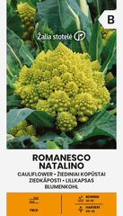 Lillkapsas Romanesco Natalino цена и информация | Семена овощей, ягод | kaup24.ee