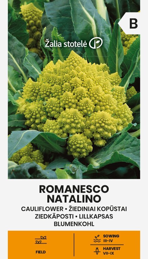 Lillkapsas Romanesco Natalino цена и информация | Köögivilja-, marjaseemned | kaup24.ee