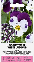 Sarvkannike Sorbet Xp H White Jump Up цена и информация | Семена цветов | kaup24.ee