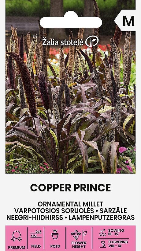 Neegri-Hiidhirss Copper Prince H цена и информация | Lilleseemned | kaup24.ee