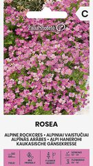 Alpi Hanerohi Rosea цена и информация | Семена цветов | kaup24.ee