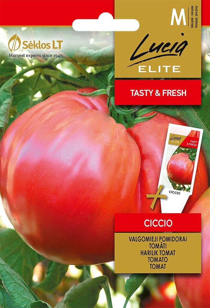 Harilik Tomat Ciccio H hind ja info | Köögivilja-, marjaseemned | kaup24.ee