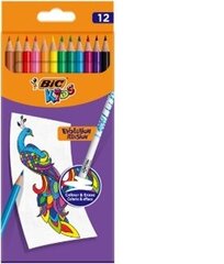 Värvilised pliiatsid kustutuskummiga Bic Kids Evolution Illusion, 12 värvi komplektis цена и информация | Принадлежности для рисования, лепки | kaup24.ee