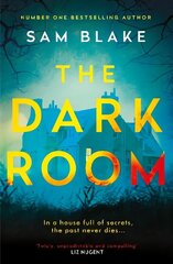 Dark Room Main цена и информация | Фантастика, фэнтези | kaup24.ee