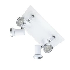 Потолочный светильник Eglo Tamara 95995 цена и информация | Потолочные светильники | kaup24.ee