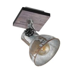 Настенный светильник Eglo Barnstaple 49648 цена и информация | Настенный светильник Конусы | kaup24.ee