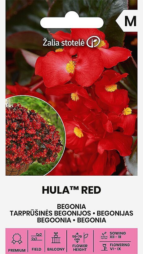 Begoonia Hula™ Red цена и информация | Lilleseemned | kaup24.ee