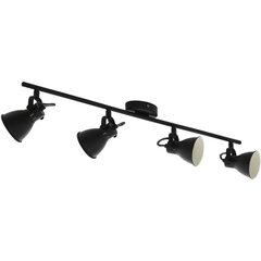 Потолочный светильник Eglo Seras 98408 цена и информация | Потолочные светильники | kaup24.ee