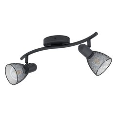 Потолочный светильник Eglo Carovigno 98622 цена и информация | Потолочные светильники | kaup24.ee