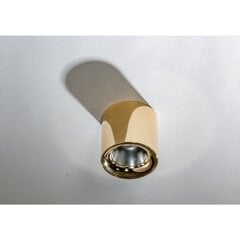 Потолочный светильник Azzardo Mane AZ4329 цена и информация | Потолочные светильники | kaup24.ee