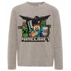 Laste pikkade varrukatega t-särk Minecraft цена и информация | Рубашки для мальчиков | kaup24.ee