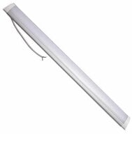 LED lamp, 150 cm 42W 4000K цена и информация | Потолочные светильники | kaup24.ee