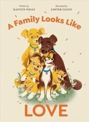 Family Looks Like Love цена и информация | Книги для подростков и молодежи | kaup24.ee