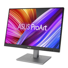 ASUS ProArt PA248CNV 90LM05K1-B03370 цена и информация | Мониторы | kaup24.ee