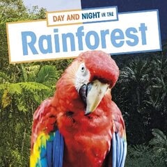Day and Night in the Rainforest hind ja info | Noortekirjandus | kaup24.ee