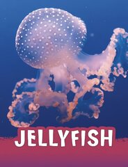 Jellyfish hind ja info | Noortekirjandus | kaup24.ee