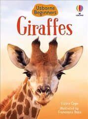 Giraffes цена и информация | Книги для подростков и молодежи | kaup24.ee