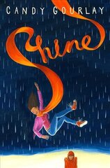 Shine цена и информация | Книги для подростков и молодежи | kaup24.ee