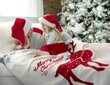 Tekk Santa, 150x200 cm цена и информация | Tekid | kaup24.ee