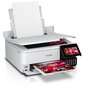Epson Photo Printer EcoTank L8160 C11CJ20402 цена и информация | Printerid | kaup24.ee