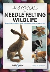 Masterclass in Needle Felting Wildlife: Methods and techniques to take your needle felting to the next level цена и информация | Книги о моде | kaup24.ee