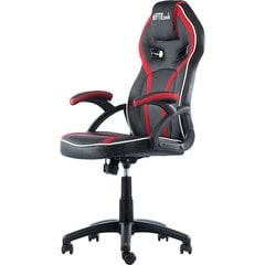 Игровое кресло ByteZone Fire Gaming Chair цена и информация | Офисные кресла | kaup24.ee