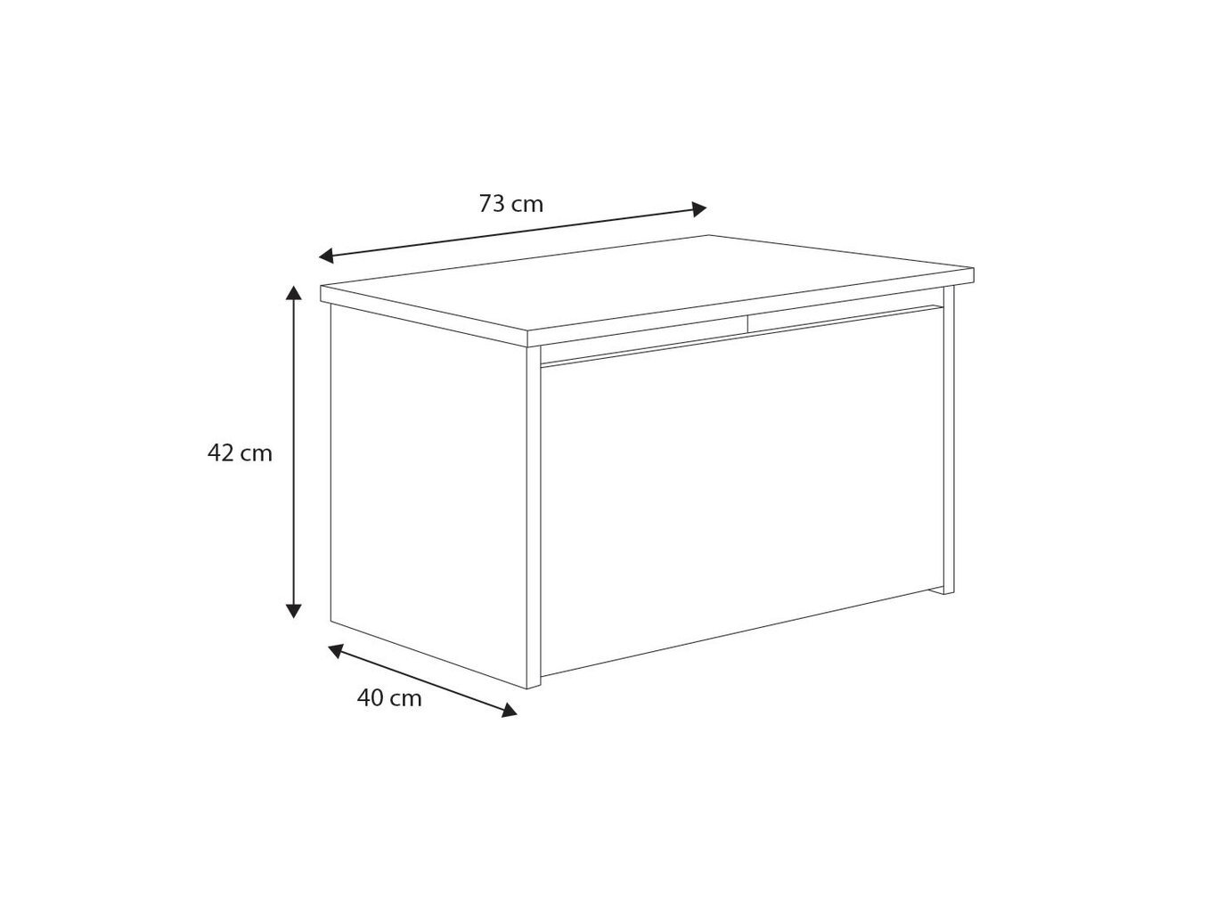 Mänguasjakast Daria, 73x40x42 cm hind ja info | Hoiukastid ja -korvid | kaup24.ee