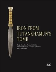 Iron from Tutankhamun's Tomb: Book Four of the Mirror Visitor Quartet hind ja info | Ajalooraamatud | kaup24.ee