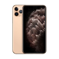 iPhone 11 Pro 64GB Gold (uuendatud, seisukord A) цена и информация | Мобильные телефоны | kaup24.ee