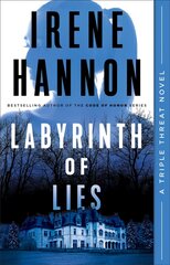 Labyrinth of Lies Library Edition hind ja info | Fantaasia, müstika | kaup24.ee